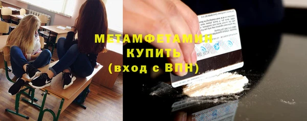 прущие грибы Михайловка