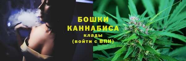 прущие грибы Михайловка