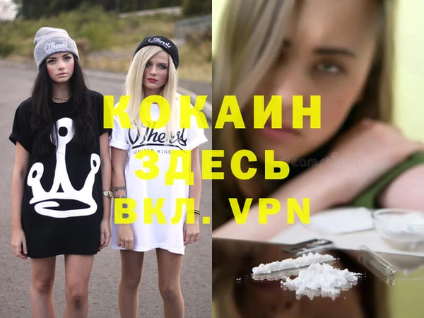 прущие грибы Михайловка
