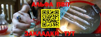 стаф Кандалакша