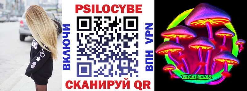 Псилоцибиновые грибы Psilocybe цена Пушкино