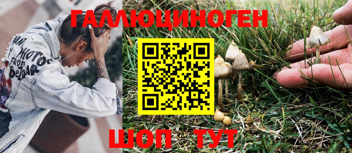 А ПВП Пушкино