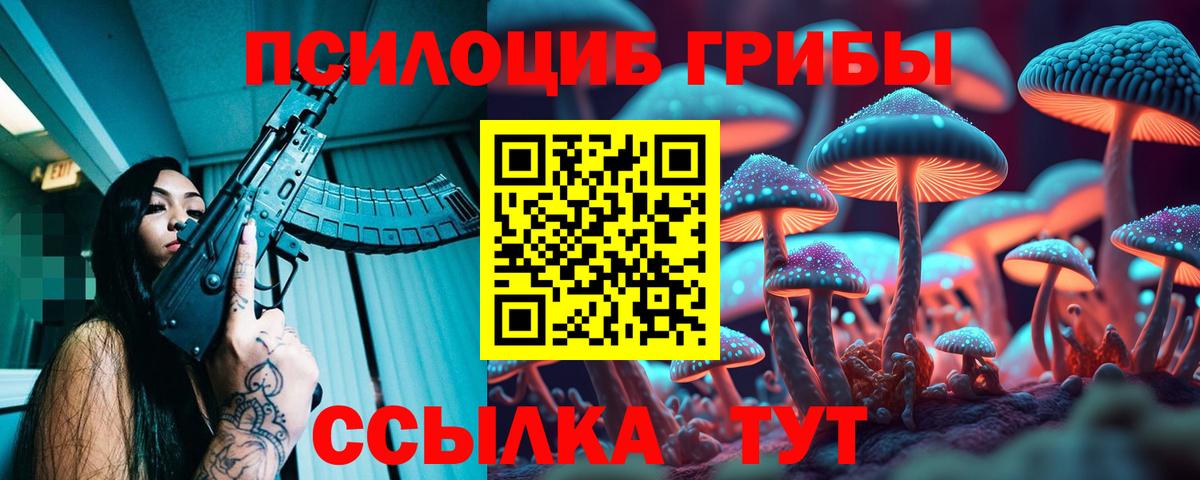 Галлюциногенные грибы MAGIC MUSHROOMS  Вход с VPN  Пушкино 