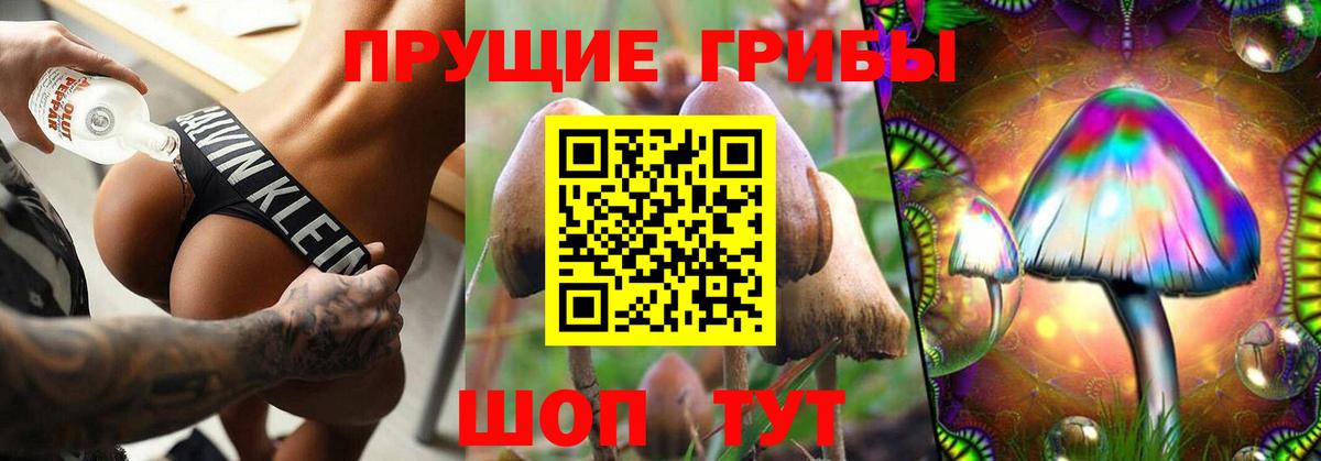 Галлюциногенные грибы MAGIC MUSHROOMS Пушкино